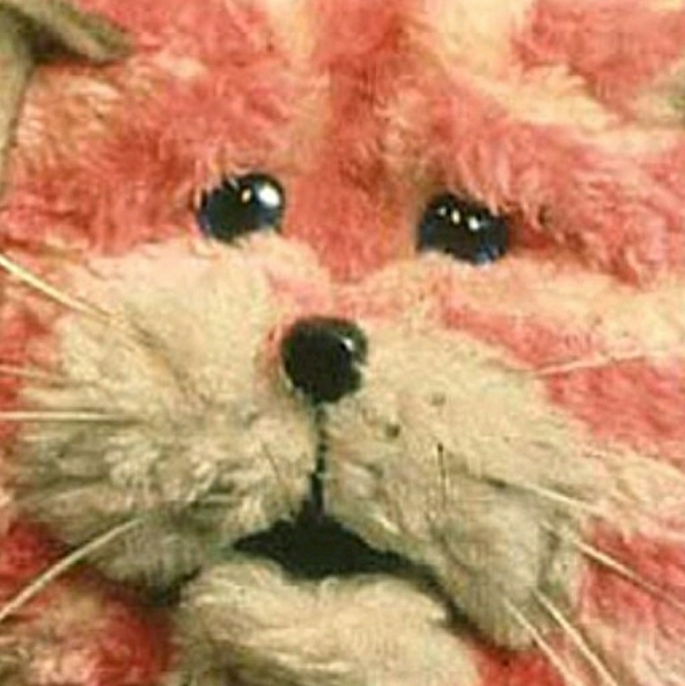 Meet your Posher, Ariana